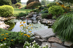 A beautiful garden with a pond in the centre.